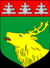 Johvi - Wappen